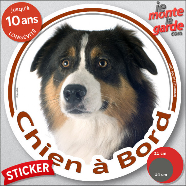 Berger Australien Tricolore Noir Tête , sticker rond "Chien à Bord" Disque autocollant adhésif photo voiture Aussie