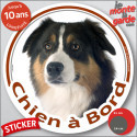 Berger Australien Tricolore noir, sticker voiture rond "Chien à Bord" 2 tailles D