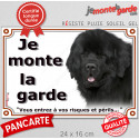 Terre Neuve noir, plaque portail extérieur "je Monte la Garde, risques périls" 24 cm LUX
