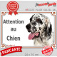 Setter Anglais noir et blanc Tête, plaque portail extérieur "Attention au Chien" pancarte porte, panneau rue entrée