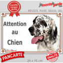 Setter Anglais noir, plaque portail extérieur "Attention au Chien" 24 cm LUXE D