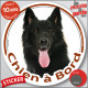 Berger Belge Groenendael Tête, sticker autocollant rond "Chien à Bord" Disque photo adhésif vitre voiture
