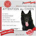 Groenendael, plaque portail humour "Attention au Chien, Jetez Vous au Sol" 24 cm JET