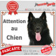 Berger Belge Groenendael, plaque portail "Attention au Chien" pancarte panneau photo