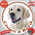Golden Retriever, sticker voiture rond "Chien à Bord" 2 tailles D