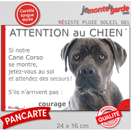 Cane Corso Italiano gris bleu, plaque portail humour "Attention au Chien, Jetez Vous au Sol, courage" photo, résiste pluie solei
