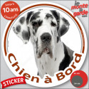 Dogue Allemand arlequin, sticker voiture rond "Chien à Bord" 2 tailles D