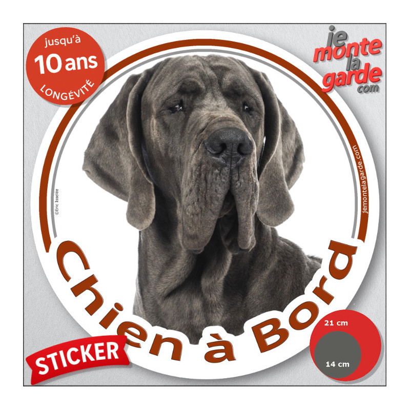 Dogue Allemand gris bleu, sticker autocollant rond "Chien à Bord" Disque adhésif photo Danois race