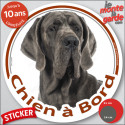 Dogue Allemand bleu, sticker voiture rond "Chien à Bord" 2 tailles
