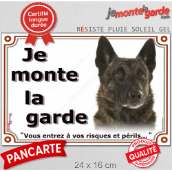 Berger Hollandais poil court, plaque extérieure "Je Monte la Garde, risques périls" 24 cm LUX