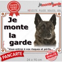 Berger Hollandais poil court, plaque extérieure "Je Monte la Garde, risques périls" 24 cm LUX