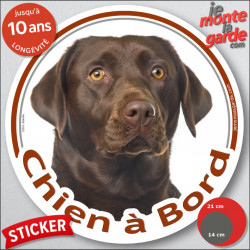 Labrador Chocolat marron brun Tête, sticker autocollant rond "Chien à Bord" disque adhésif photo vitre voiture