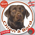 Labrador Chocolat, sticker voiture rond "Chien à Bord" 2 tailles D