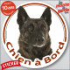 Berger Hollandais bringé poils courts Tête, sticker autocollant rond "Chien à Bord" Disque photo adhésif voiture auto
