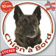 Berger Hollandais bringé poils courts Tête, sticker autocollant rond "Chien à Bord" Disque photo adhésif voiture auto