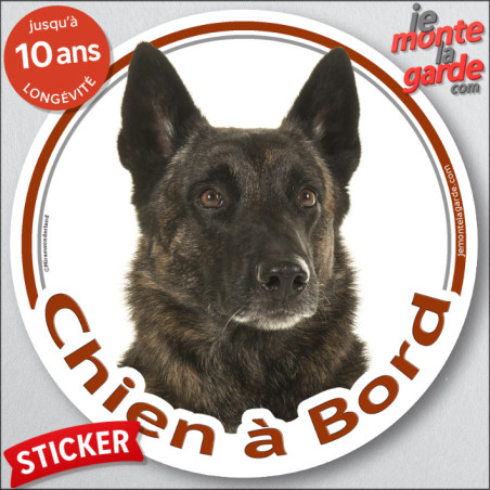Berger Hollandais bringé poils courts Tête, sticker autocollant rond "Chien à Bord" Disque photo adhésif voiture auto