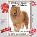 Chow-Chow Fauve, plaque verticale "Attention au Chien, pas sans autorisation" 24 cm VL