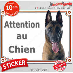 Malinois, autocollant photo "Attention au Chien" 16 cm