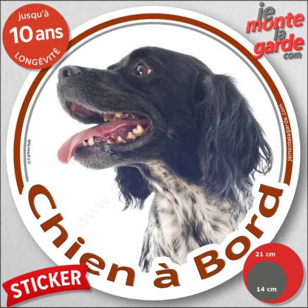 Epagneul Breton noir Tête, sticker autocollant rond "Chien à Bord" disque adhésif vitre voiture photo
