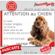 Cocker Anglais Spaniel Golden, plaque portail humour "Attention au Chien, Jetez Vous au Sol, attendez secours, courage" fauve
