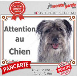 Labrit gris Tête, plaque portail "Attention au Chien" pancarte panneau berger des Pyrénées bleu photo arlequin