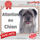 Labrit gris Tête, plaque portail "Attention au Chien" pancarte panneau berger des Pyrénées bleu photo arlequin