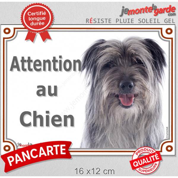Labrit gris Tête, plaque portail "Attention au Chien" pancarte panneau berger des Pyrénées bleu photo arlequin