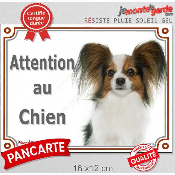 Epagneul Nain Papillon Continental Tête, plaque portail "Attention au Chien" pancarte panneau photo race