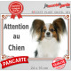 Epagneul Nain Papillon Continental Tête, plaque portail "Attention au Chien" pancarte panneau photo race
