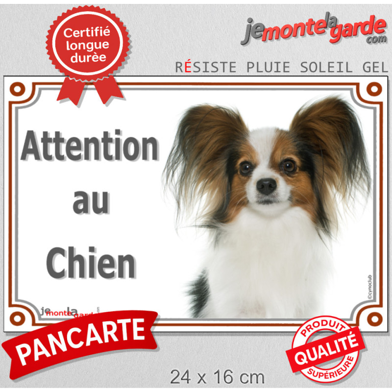 Epagneul Nain Papillon Continental Tête, plaque portail photo "Attention au Chien" résiste pluie soleil gel, idée cadeau