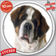 Saint-Bernard, sticker autocollant rond extérieur "photo" Disque adhésif st-bernard résiste, pluie soleil gel