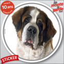 Saint-Bernard, disque autocollant rond extérieur "photo" 14 cm