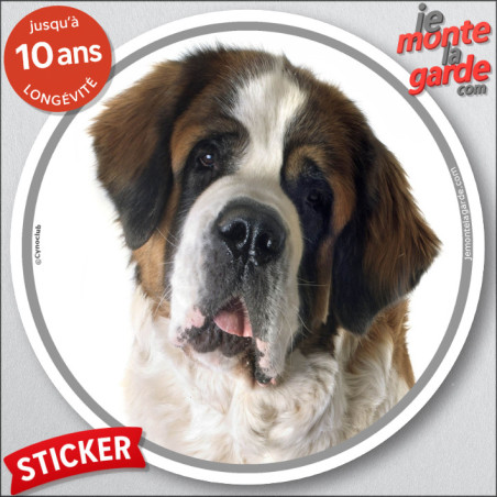 Saint-Bernard, disque autocollant rond extérieur "photo" 2 tailles D