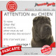 Shar-Peï marron chocolat, plaque humour "Attention au Chien, Jetez Vous au Sol, courage" pancarte panneau drôle sharpei photo