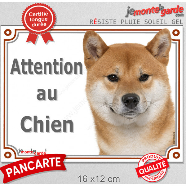Shiba Inu fauve Tête, plaque portail extérieur "Attention au Chien" pancarte panneau orange marron photo