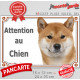 Shiba Inu fauve Tête, plaque portail extérieur "Attention au Chien" pancarte panneau orange marron photo