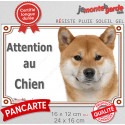 Shiba Inu fauve, plaque portail extérieur "Attention au Chien" 2 tailles LUX D