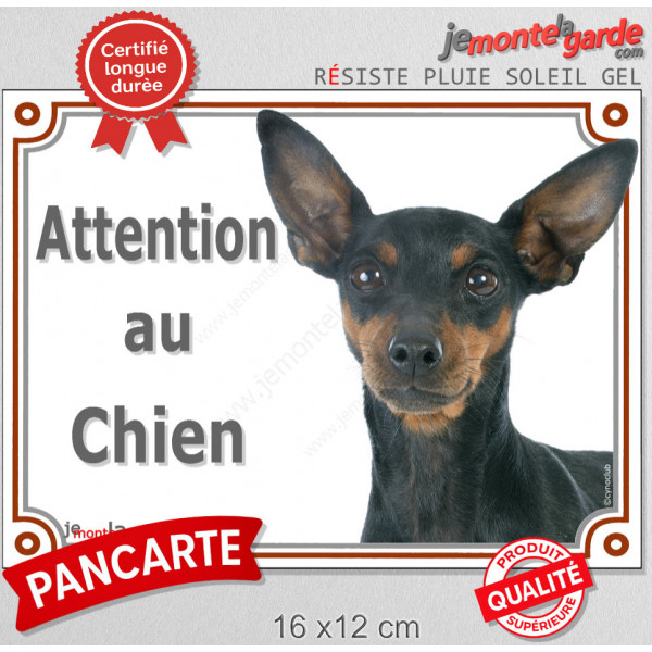 Pinscher noir et feu Tête, plaque portail "Attention au Chien" pancarte panneau photo pinsher nain