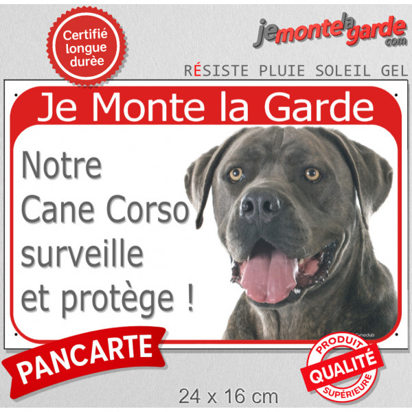 Cane Corso Italiano gris bleu, plaque portail rouge "Je Monte la Garde, surveille et protège" photo chien bringé, résiste pluie 