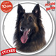 Berger Belge Tervueren, sticker autocollant rond "photo" disque intérieur ou Extérieur adhésif voiture
