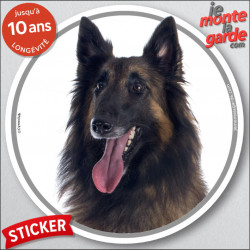 Berger Belge Tervueren, sticker voiture rond "photo" 14 cm