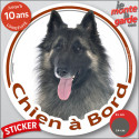 berger Belge Tervuren, sticker rond voiture "Chien à Bord" 2 tailles D
