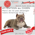 Plaque humour "Attention au Chien, Merci de ne pas déranger notre Bully red nose" 24 cm NPD