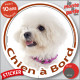 Bichon Frisé Tête, sticker autocollant rond "Chien à Bord" Disque adhésif voiture vitres photo