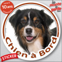 Berger Australien Tricolore, sticker voiture rond "Chien à Bord" 14 cm