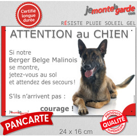 Berger Belge Malinois, plaque portail humour "Attention au Chien, Jetez Vous au Sol, attendez secours, courage" photo, résiste p
