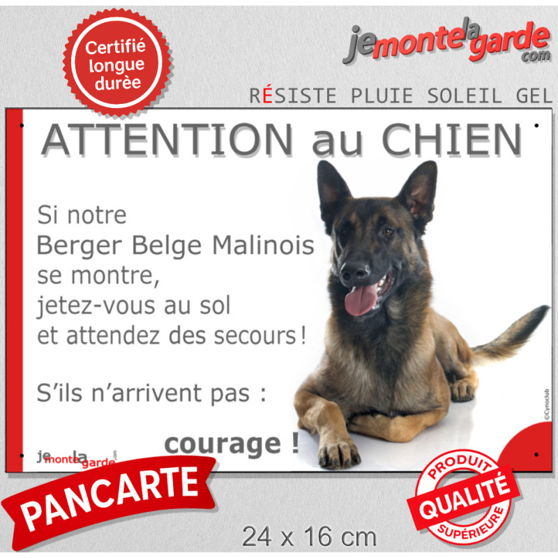 Berger Belge Malinois, plaque portail humour "Attention au Chien, Jetez Vous au Sol, attendez secours, courage" photo, résiste p Berger Belge Malinois, plaque portail humour "Attention au Chien, Jetez Vous au Sol, attendez secours, courage" photo, résiste p