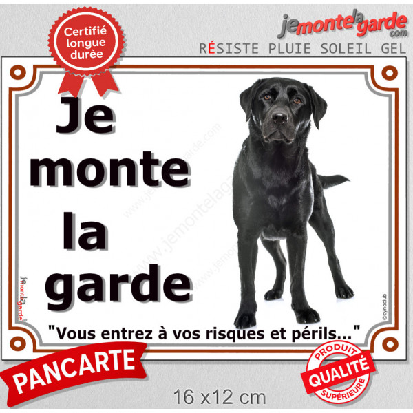 Labrador Noir entier, plaque portail "je Monte la Garde, risques et périls" pancarte attention au chien photo extérieur