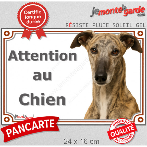 Lévrier Galgo Espagnol bringé Tête, plaque portail "Attention au Chien" pancarte extérieure panneau affiche photo
