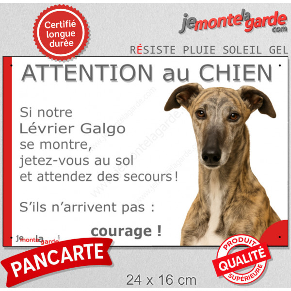 Lévrier Galgo Espagnol bringé, plaque portail humour "Attention au Chien, Jetez Vous au Sol, attendez secours, courage" photo